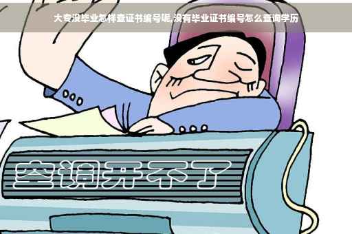 大专没毕业怎样查证书编号呢,没有毕业证书编号怎么查询学历