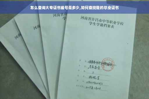 怎么查询大专证书编号是多少,如何查找我的毕业证书