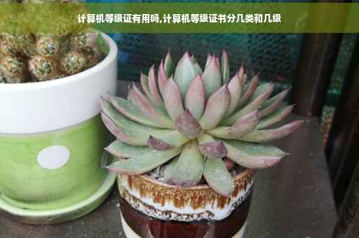 计算机等级证有用吗,计算机等级证书分几类和几级