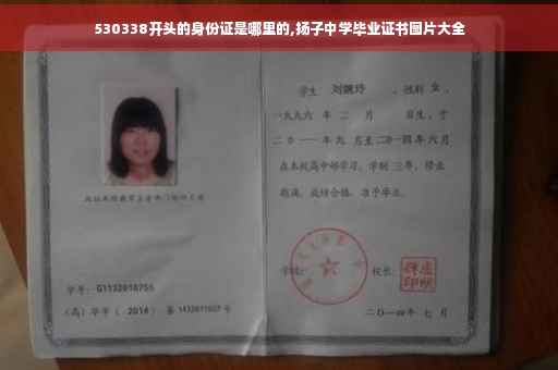530338开头的身份证是哪里的,扬子中学毕业证书图片大全