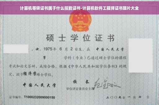 计算机等级证书属于什么技能证书-计算机软件工程师证书图片大全