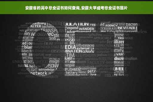 安徽省的高中毕业证书如何查询,安徽大学成考毕业证书图片