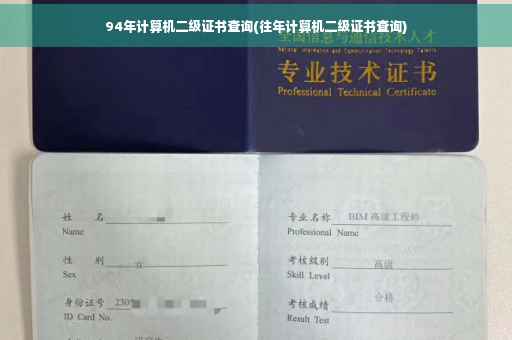 94年计算机二级证书查询(往年计算机二级证书查询)