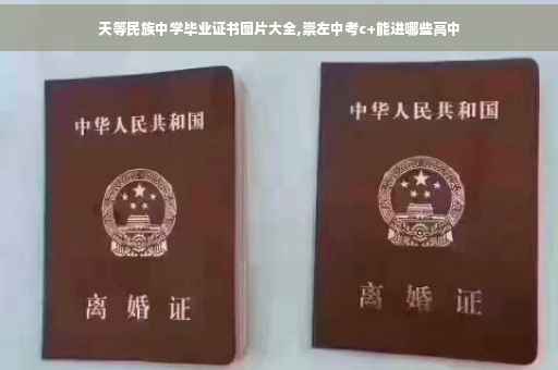 天等民族中学毕业证书图片大全,崇左中考c+能进哪些高中