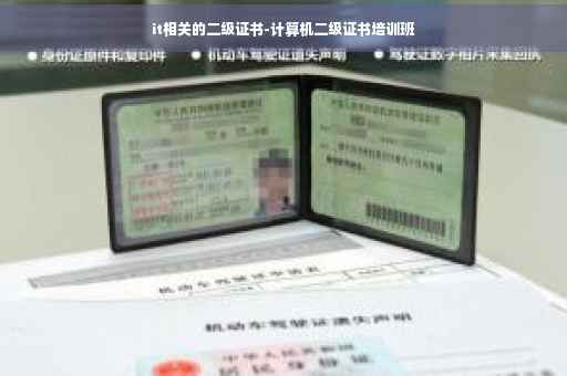 it相关的二级证书-计算机二级证书培训班