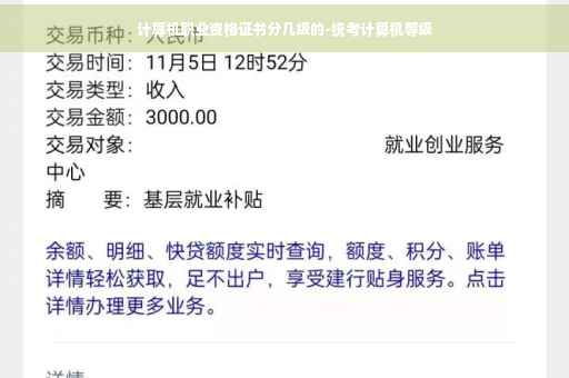 计算机职业资格证书分几级的-统考计算机等级