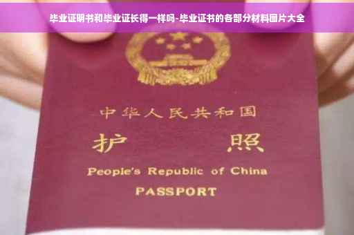 毕业证明书和毕业证长得一样吗-毕业证书的各部分材料图片大全