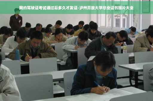 网约驾驶证考试通过后多久才发证-泸州开放大学毕业证书图片大全