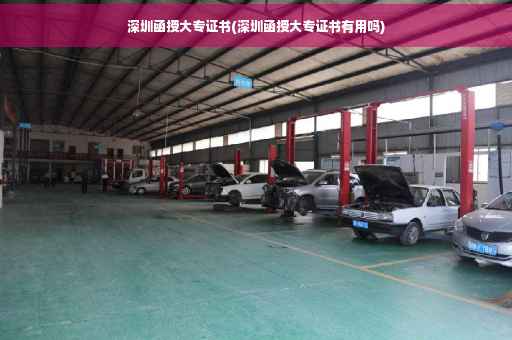 深圳函授大专证书(深圳函授大专证书有用吗)
