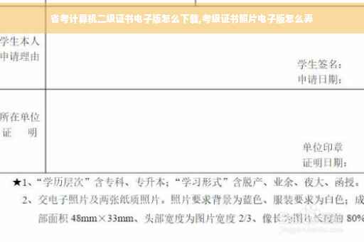 省考计算机二级证书电子版怎么下载,考级证书照片电子版怎么弄