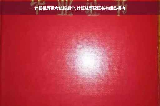 计算机等级考试报哪个,计算机等级证书有哪些机构