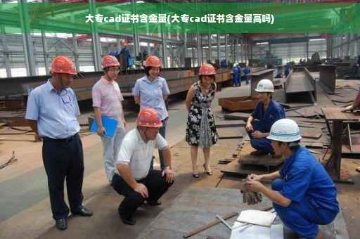 大专cad证书含金量(大专cad证书含金量高吗)