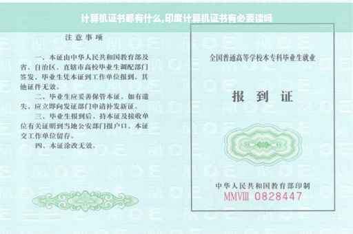 计算机证书都有什么,印度计算机证书有必要读吗