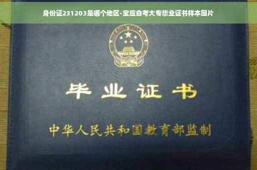 身份证231203是哪个地区-宝应自考大专毕业证书样本图片