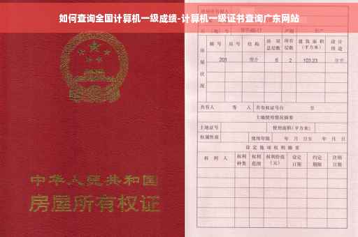 如何查询全国计算机一级成绩-计算机一级证书查询广东网站