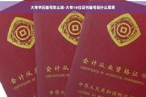 大专学历编号怎么填-大专18位证书编号是什么意思 大专学历编号怎么填-大专18位证书编号是什么意思