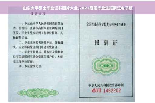 山东大学硕士毕业证书图片大全,2021应届毕业生报到证电子版