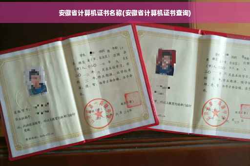 安徽省计算机证书名称(安徽省计算机证书查询)