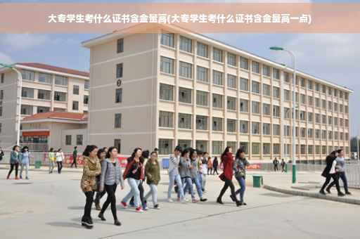 大专学生考什么证书含金量高(大专学生考什么证书含金量高一点)
