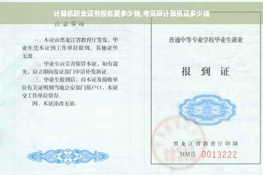 计算机职业证书报名费多少钱,考高级计算机证多少钱