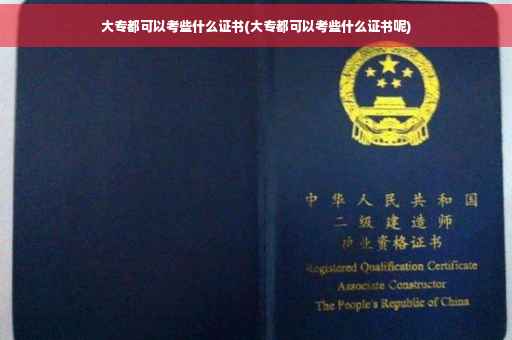 大专都可以考些什么证书(大专都可以考些什么证书呢)