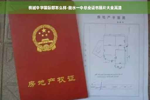 桃城中学国际部怎么样-衡水一中毕业证书图片大全高清