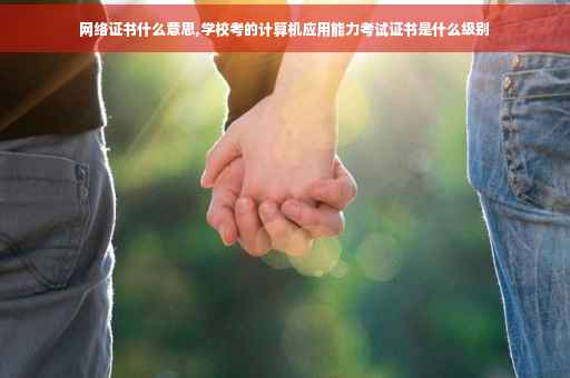 网络证书什么意思,学校考的计算机应用能力考试证书是什么级别