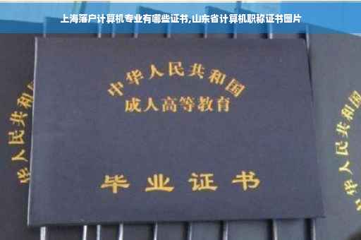 上海落户计算机专业有哪些证书,山东省计算机职称证书图片