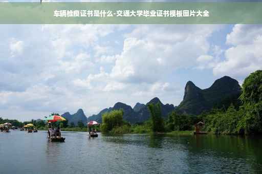 车辆检疫证书是什么-交通大学毕业证书模板图片大全