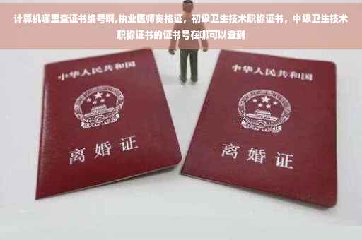 计算机哪里查证书编号啊,执业医师资格证，初级卫生技术职称证书，中级卫生技术职称证书的证书号在哪可以查到