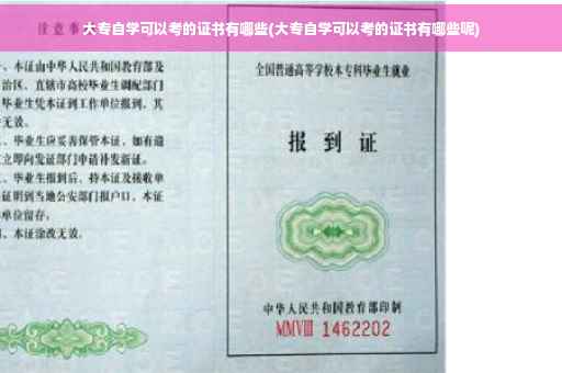 大专自学可以考的证书有哪些(大专自学可以考的证书有哪些呢)