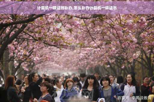 计算机一级证书补办,怎么补办计算机一级证书