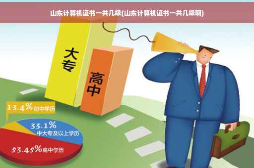 山东计算机证书一共几级(山东计算机证书一共几级啊)