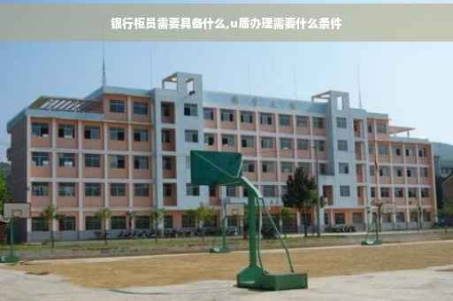 银行柜员需要具备什么,u盾办理需要什么条件