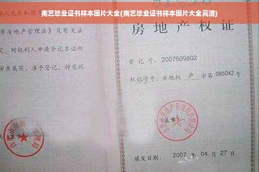南艺毕业证书样本图片大全(南艺毕业证书样本图片大全高清)