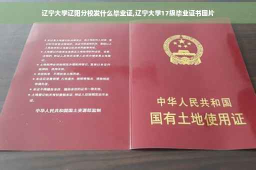 辽宁大学辽阳分校发什么毕业证,辽宁大学17级毕业证书图片
