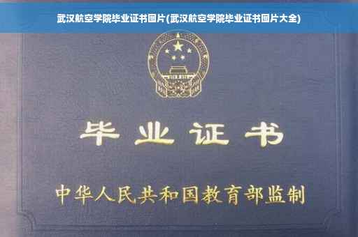 武汉航空学院毕业证书图片(武汉航空学院毕业证书图片大全)
