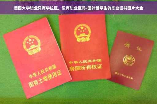 美国大学毕业只有学位证，没有毕业证吗-国外留学生的毕业证书图片大全