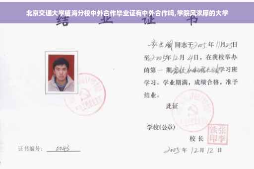 北京交通大学威海分校中外合作毕业证有中外合作吗,学院风浓厚的大学