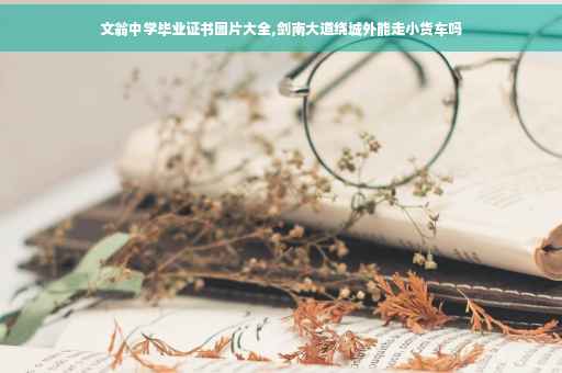 文翁中学毕业证书图片大全,剑南大道绕城外能走小货车吗