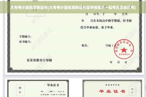大专考计算机等级证书(大专考计算机等级证书是学校组织一起考还是自己考)