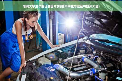 哈佛大学生毕业证书图片(哈佛大学生毕业证书图片大全)