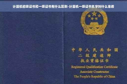 计算机初级证书和一级证书有什么区别-计算机一级证书名字叫什么来着