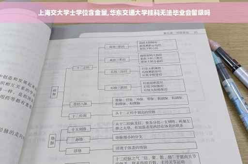 上海交大学士学位含金量,华东交通大学挂科无法毕业会留级吗