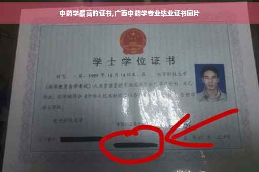 中药学最高的证书,广西中药学专业毕业证书图片
