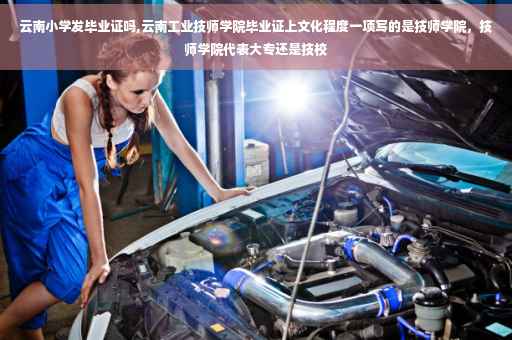 云南小学发毕业证吗,云南工业技师学院毕业证上文化程度一项写的是技师学院，技师学院代表大专还是技校