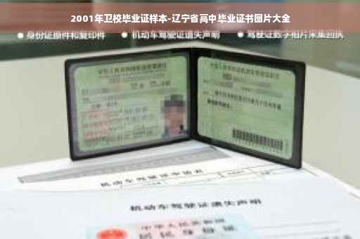 2001年卫校毕业证样本-辽宁省高中毕业证书图片大全
