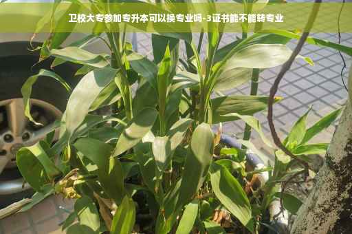 卫校大专参加专升本可以换专业吗-3证书能不能转专业