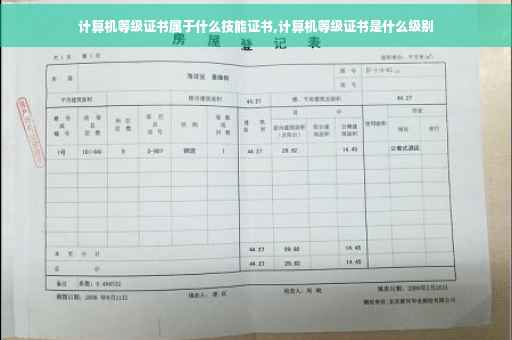 计算机等级证书属于什么技能证书,计算机等级证书是什么级别