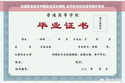 济源职业技术学院毕业证长啥样,全日本科毕业证书图片样本